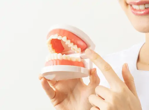 予防歯科・クリーニング