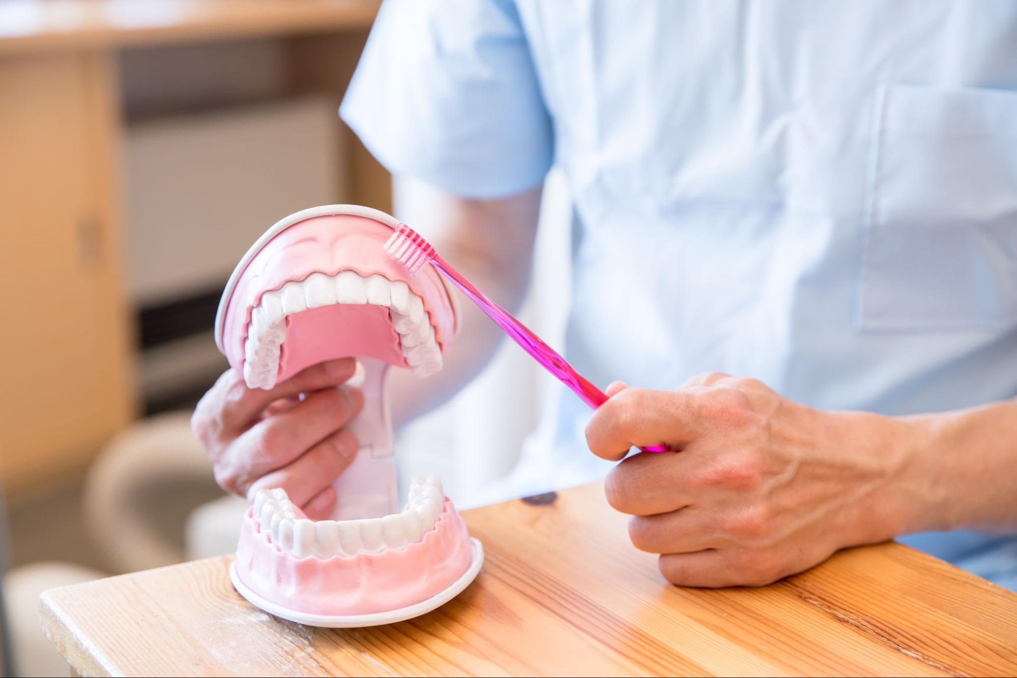 ブラッシング指導